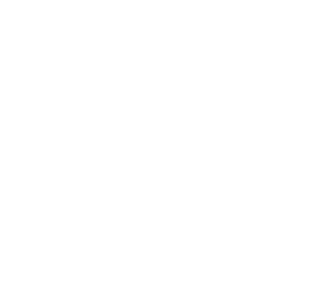 orbit icon